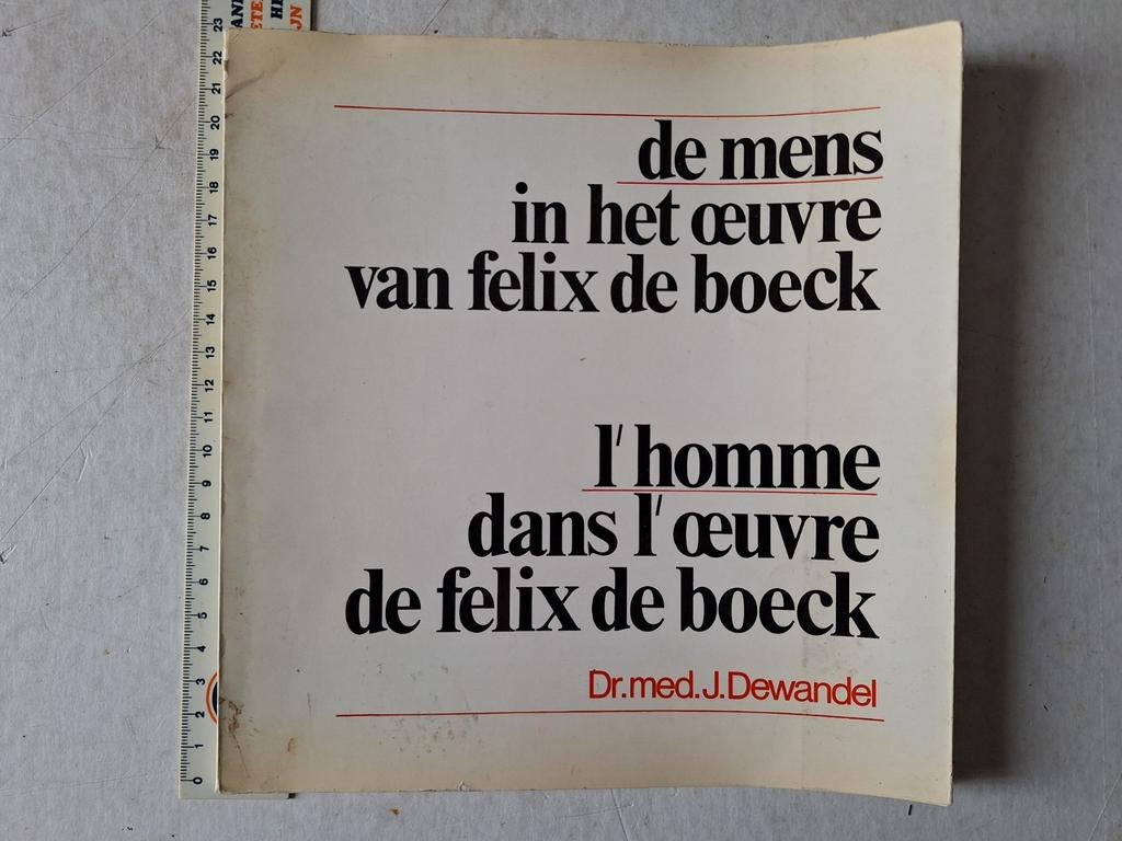 Monografie "De mens in het oeuvre van Felix De Boeck", Ophalen of Verzenden, Zo goed als nieuw