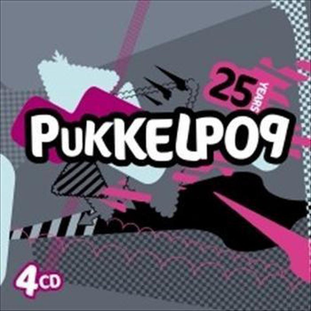 PUKKELPOP 25 JAAR BOX MET 4 CD, Ophalen of Verzenden, Zo goed als nieuw, Rock en Metal