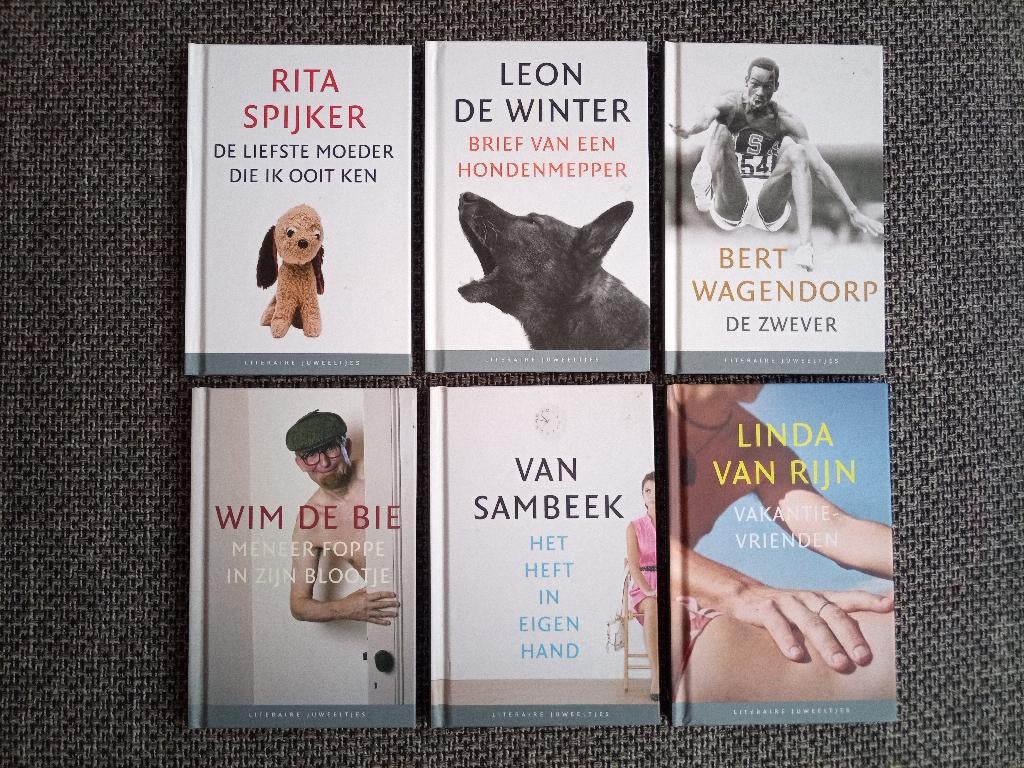 Literaire Juweeltjes - 2014, Boeken, Zo goed als nieuw, Nederland, Arthur Japin, Ophalen of Verzenden