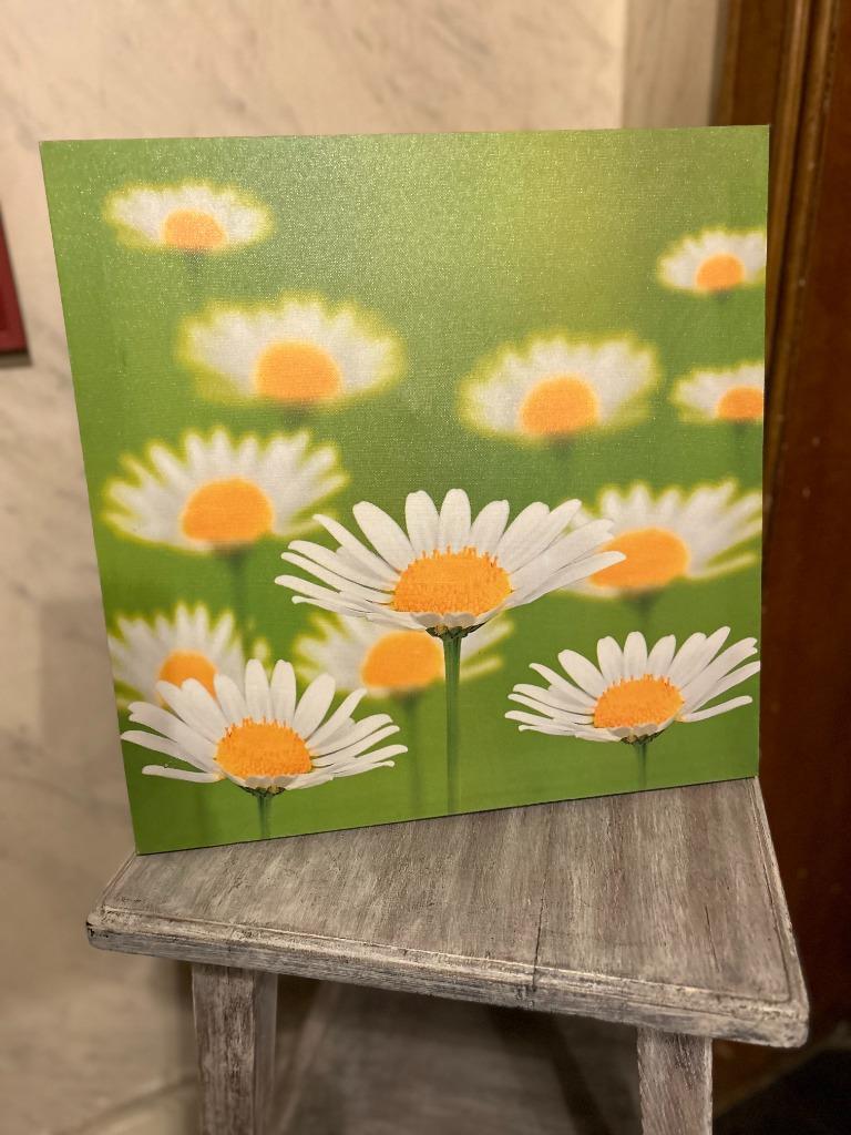 canvas met bloemen, Ophalen, Zo goed als nieuw, Minder dan 50 cm, Print