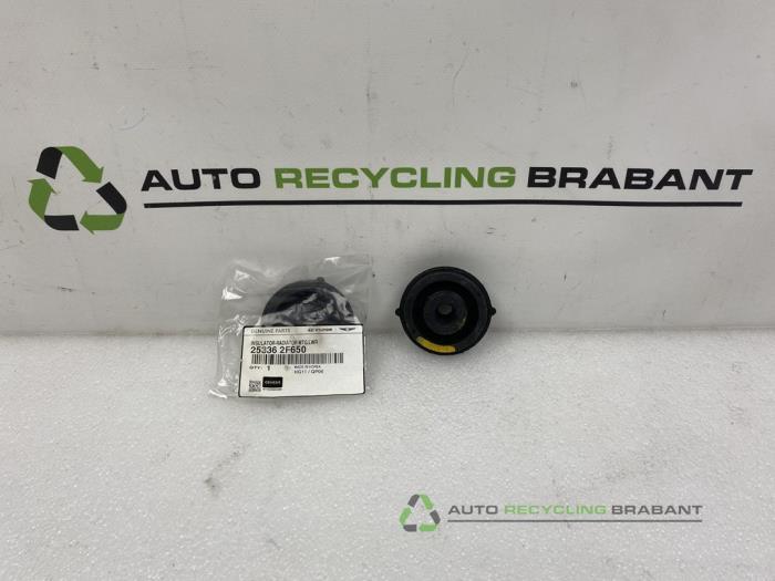 Bouchon de radiateur d'un Hyundai Tucson, -, 3 mois de garantie, Utilisé, -