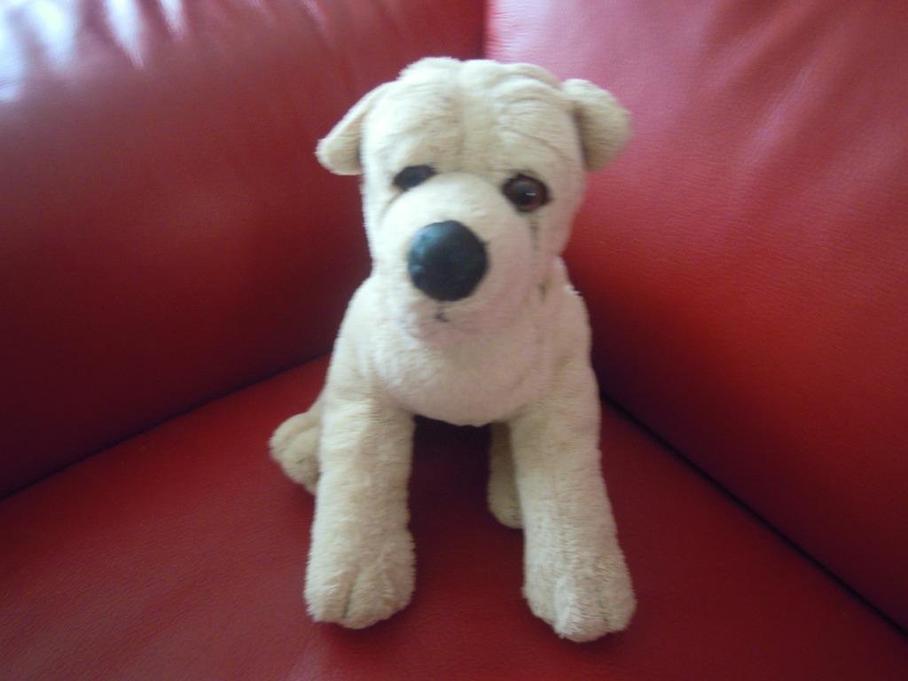 knuffel nicotoy hond(doos 60), Enlèvement ou Envoi, Chien