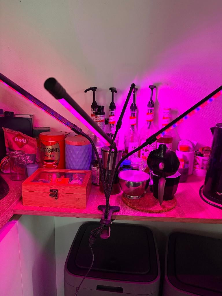 Set groeilampen, Ophalen, Gebruikt, Kweeklamp