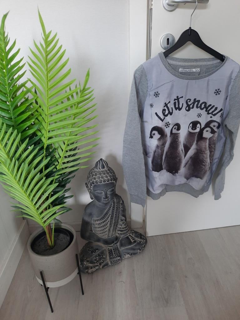 Trui LolaLiza maat S, Kleding | Dames, Ophalen of Verzenden, Zo goed als nieuw