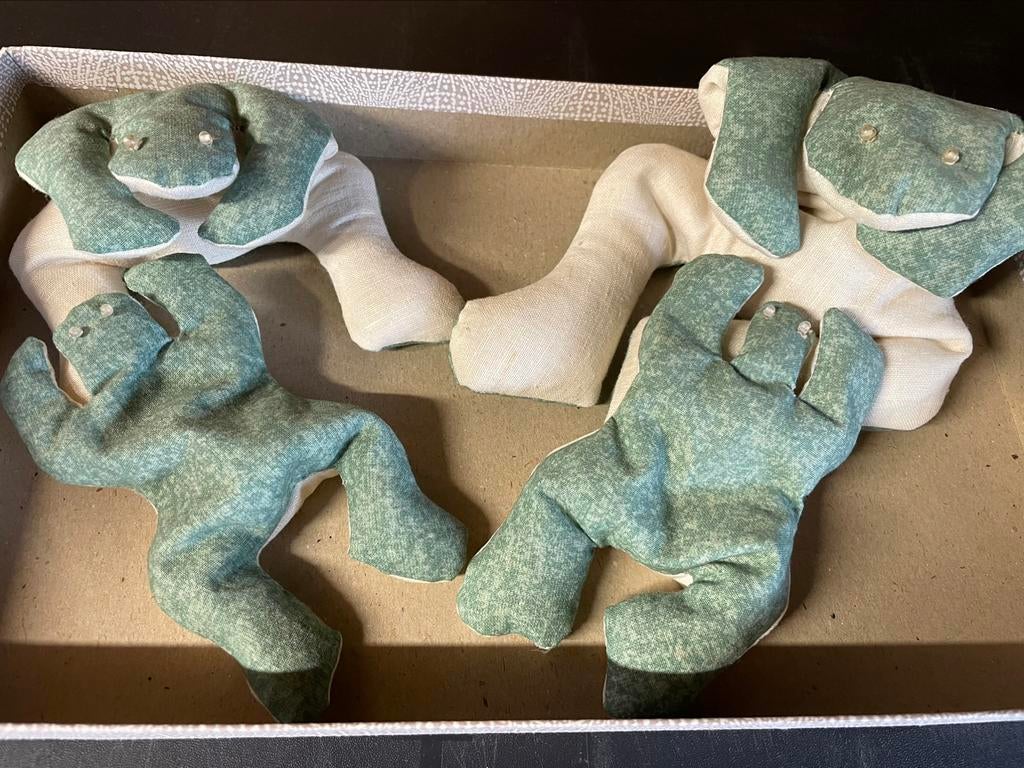 Kikkers voor decoratie, Hobby en Vrije tijd, Ophalen of Verzenden