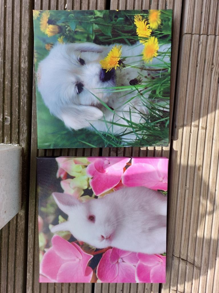 2 canvas kadertjes, Ophalen of Verzenden, Zo goed als nieuw