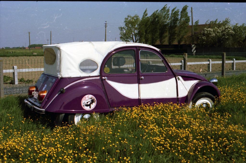 Custom dak voor Citroen 2cv 2pk, Ophalen, Gebruikt, Voor, Citroën