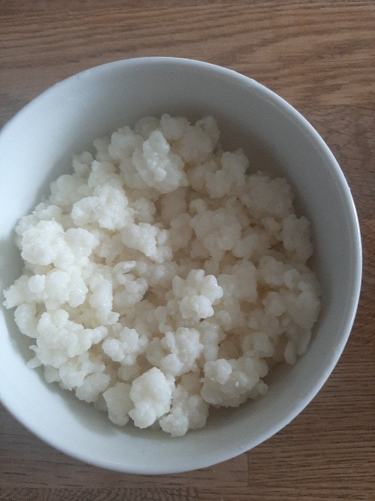 50 gram melk kefir korrels gratis af te halen, Divers, Produits alimentaires, Enlèvement