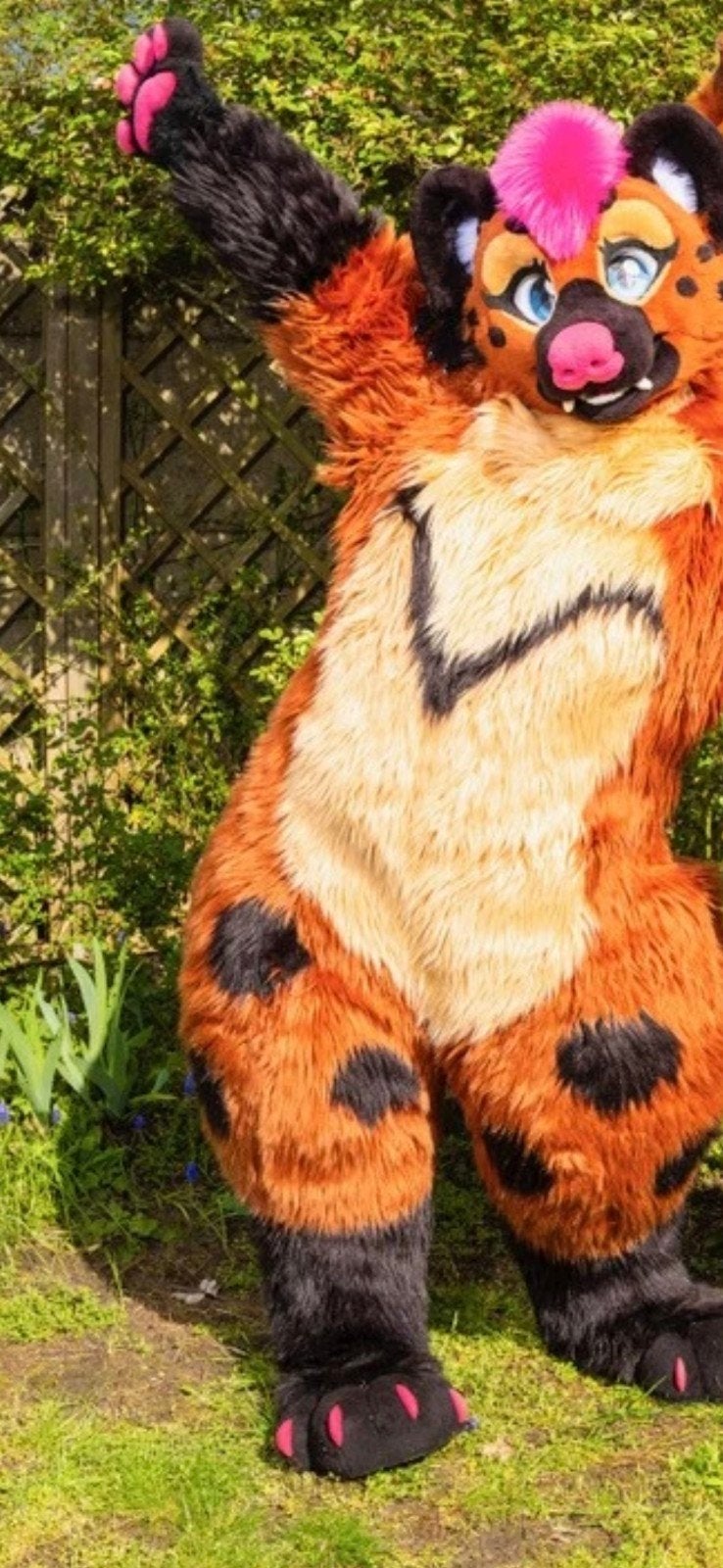 hyena full fursuit, Hobby & Loisirs créatifs, Costumes, Matériel de théâtre & Jeux de rôle, Enlèvement ou Envoi