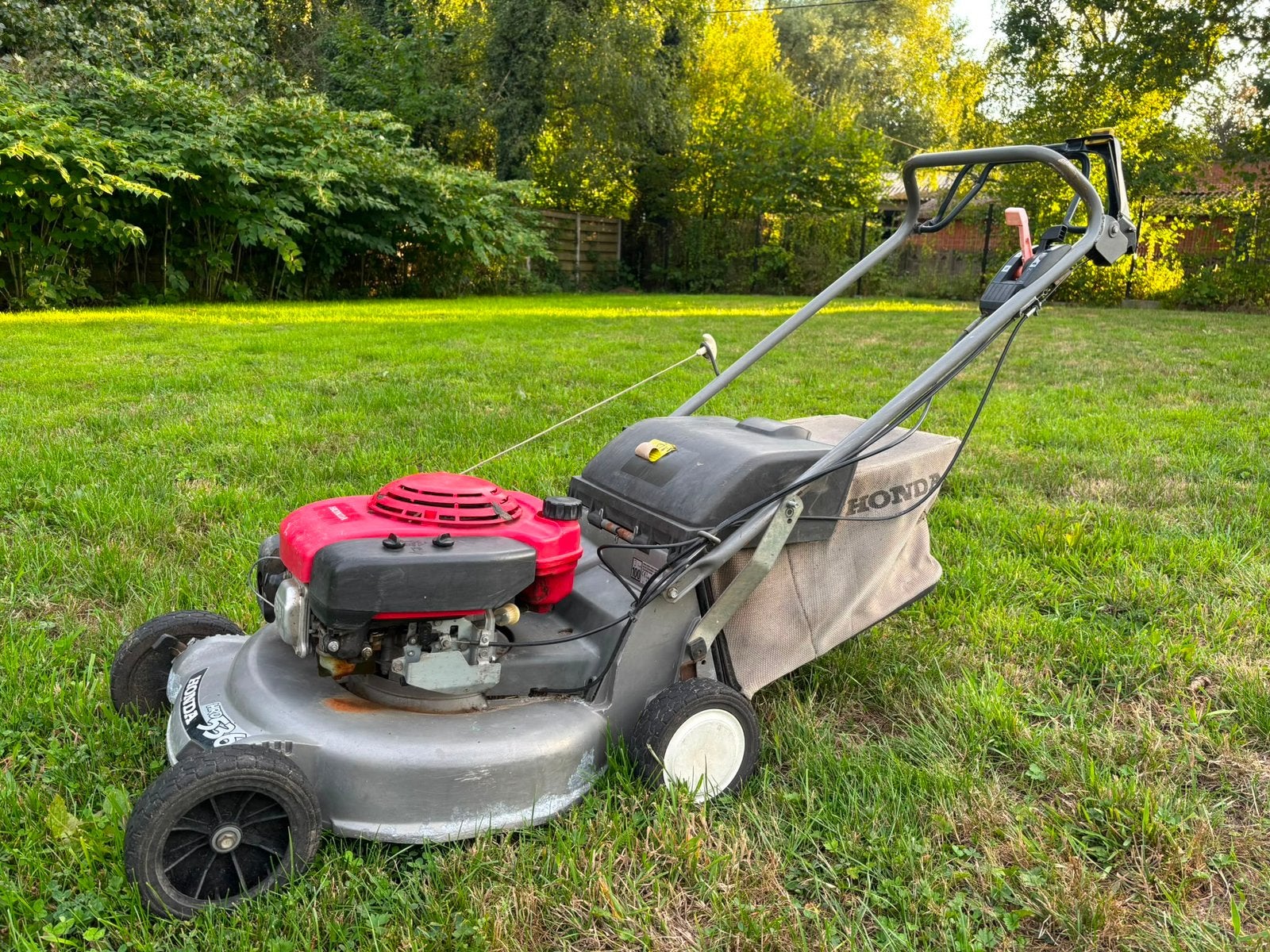 Honda HRD 536 SXE – professionele grasmaaier, Ophalen, Cirkelmaaier, Gebruikt, 50 cm of meer
