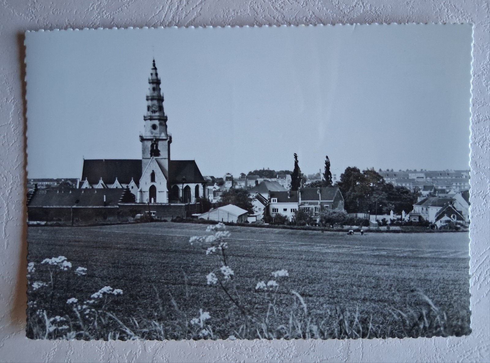 vintage Postkaart Panorama van Diegem, Ophalen of Verzenden