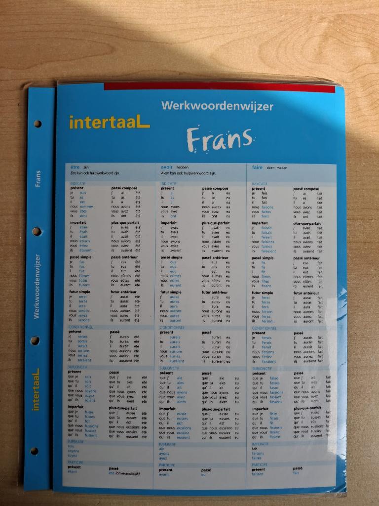 Studieboek : Werkwoordenwijzer Frans, Ophalen of Verzenden, Zo goed als nieuw