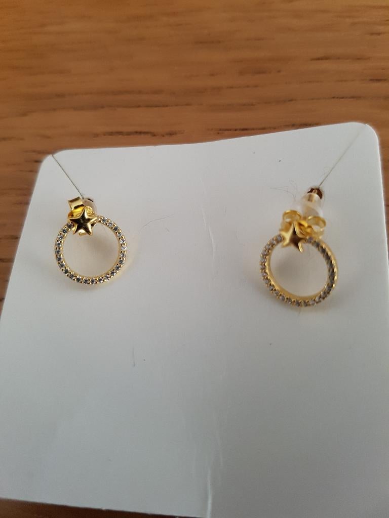 oorbellen, Bijoux, Sacs & Beauté, Boucles d'oreilles, Neuf, Enlèvement ou Envoi, Autres matériaux, Pendantes