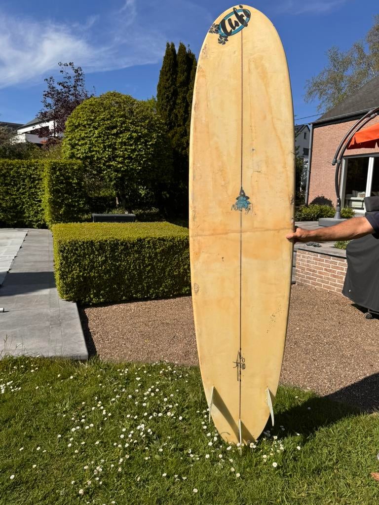 Planche d’occasion de marque Lufi, Enlèvement, Utilisé, Longboard