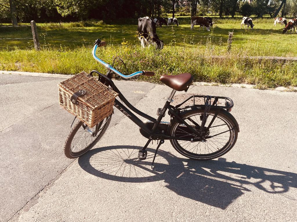 Kinderfiets Altec Urban transport 22 inch, Fietsen en Brommers, Ophalen, Altec, Gebruikt, Terugtraprem