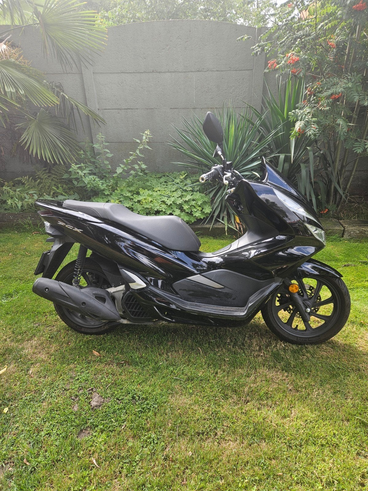 Honda PCX 125, Motoren, Motoren | Honda, Scooter, Gebruikt, Particulier, 125 cc