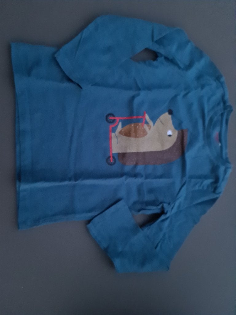 blauwe polo, trui, longsleef, Egel op step, Kidz Ntion, 110, Ophalen, Zo goed als nieuw