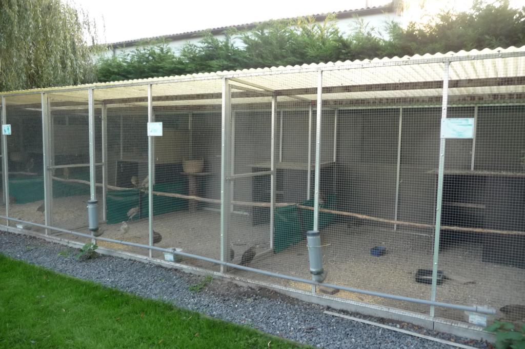 volière 60-75 m2 alu panelen, Dieren en Toebehoren, Ophalen, Gebruikt, Aluminium, Volière