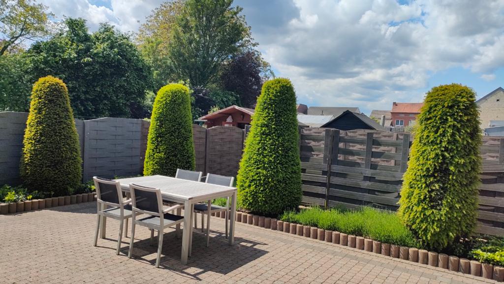Taxus, Tuin en Terras, Planten | Struiken en Hagen, Ophalen, Taxus