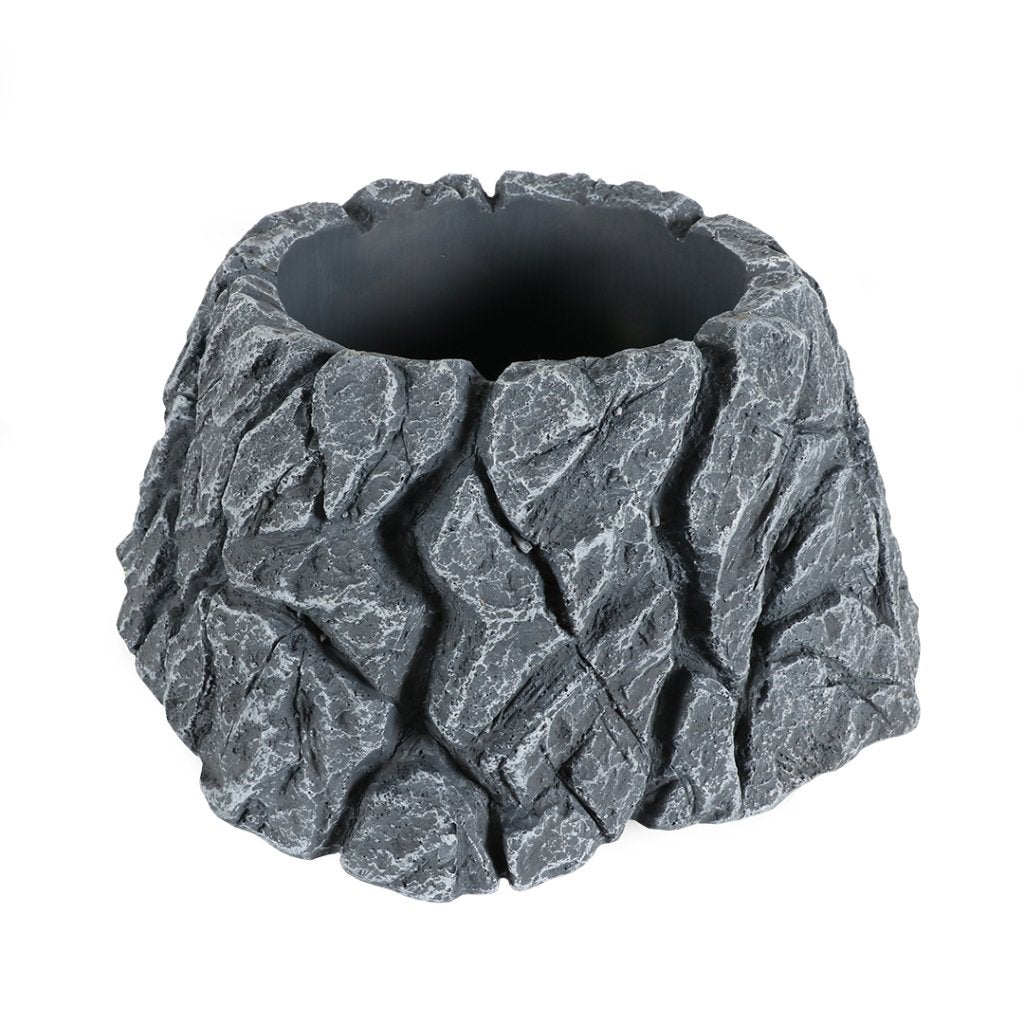 rots voor terrarium, Ophalen, Nieuw, Tak, Plant, Rots of Steen