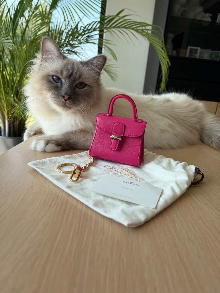 Delvaux Charm Brillant, Handtassen en Accessoires, Tassen | Damestassen, Ophalen of Verzenden, Nieuw, Roze, Overige typen