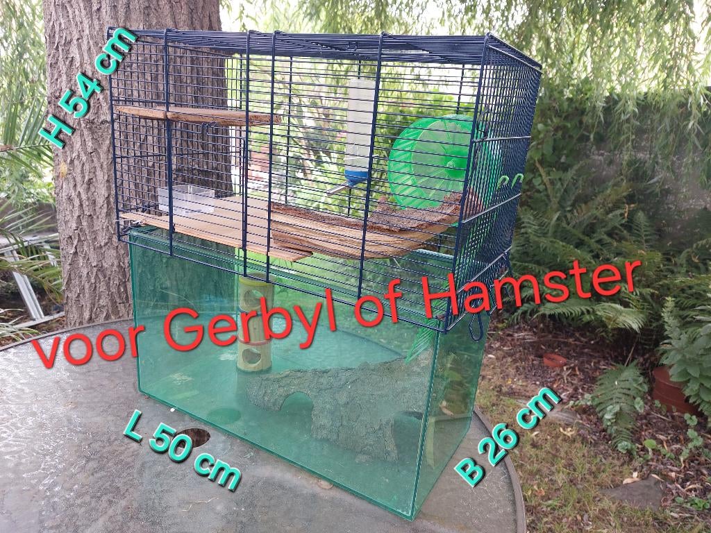 Gerbylkooi, Ophalen, Gebruikt, Muis