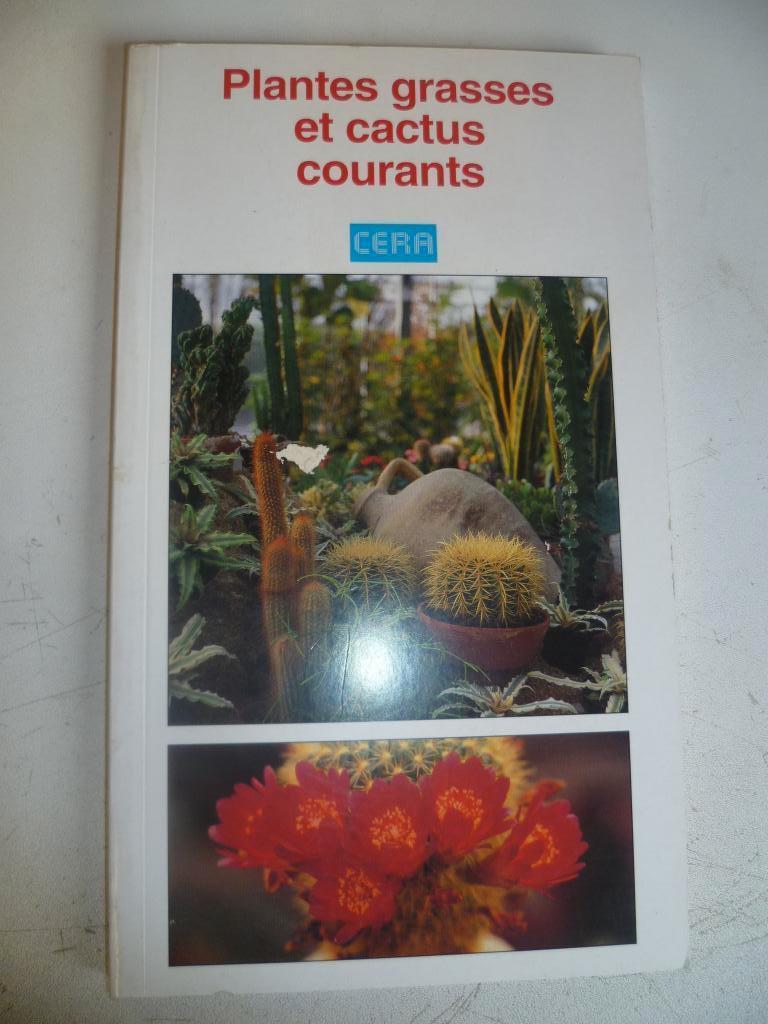 plantes grasses et cactus, Enlèvement ou Envoi, Cactus