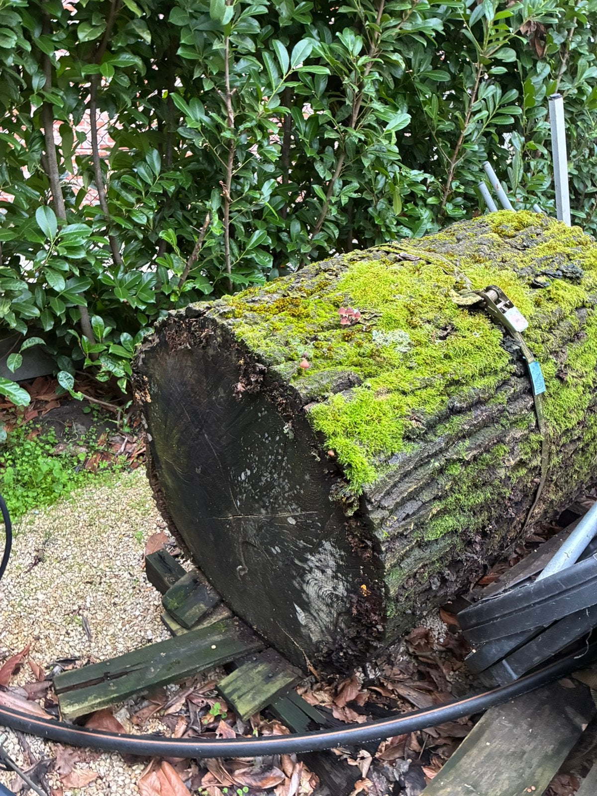 2 stukken stam van eik te koop, Enlèvement
