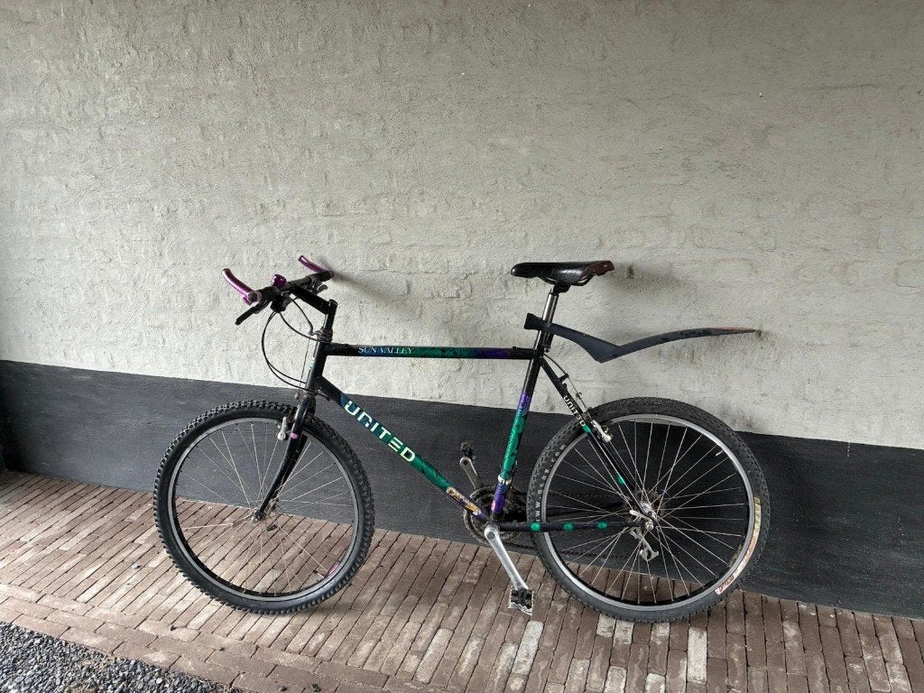 Mountainbike, Fietsen en Brommers, Fietsen | Mountainbikes en ATB, Gebruikt, Ophalen, Overige merken, Heren