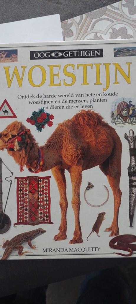 - Ooggetuigen woestijn, Ophalen of Verzenden, Macquitty