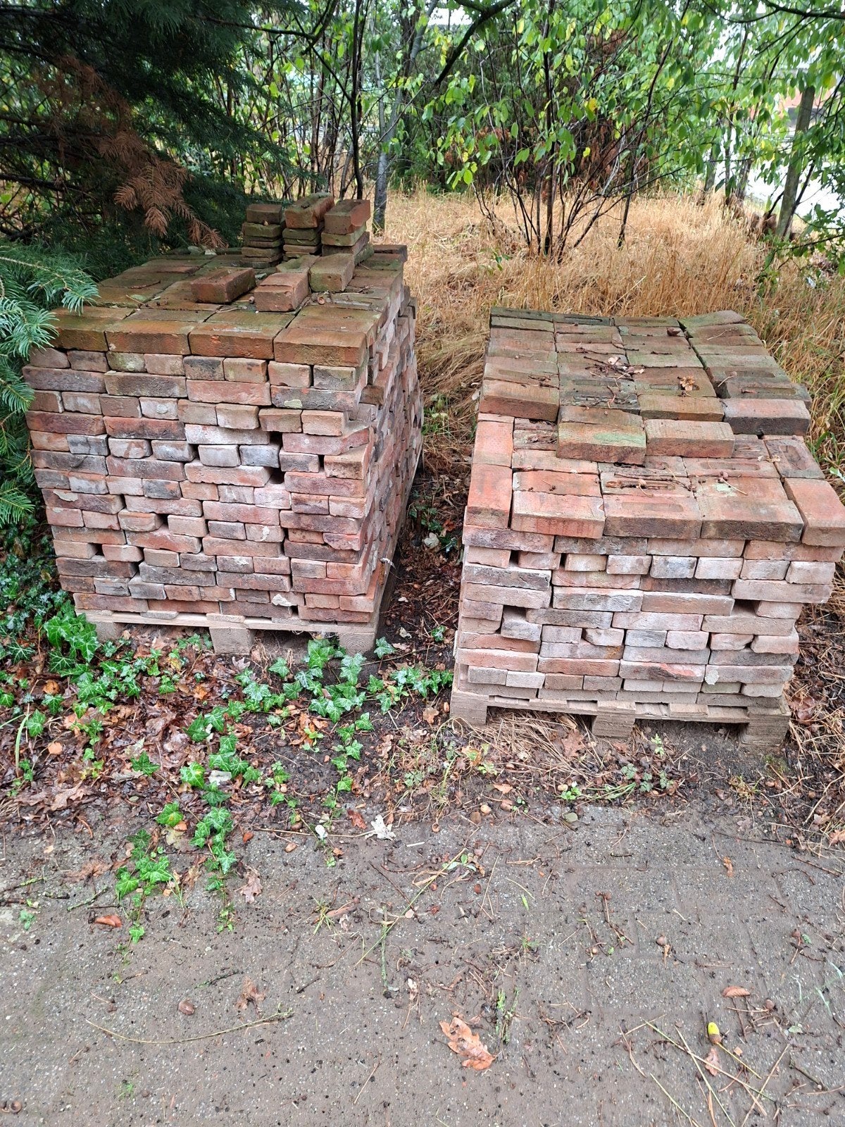 Gevelsteen, facadesteen, baksteen, 1250 stuks, Enlèvement, Utilisé, Briques