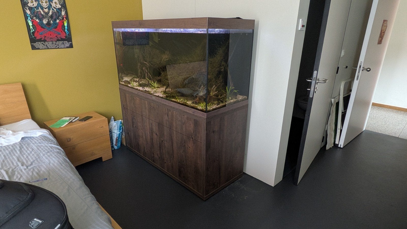 aquarium aquatlantis sublime 150 - 540 liter - 150x60x70 cm., Aquatlantis, Aquarium d'eau douce rempli, Comme neuf, Enlèvement