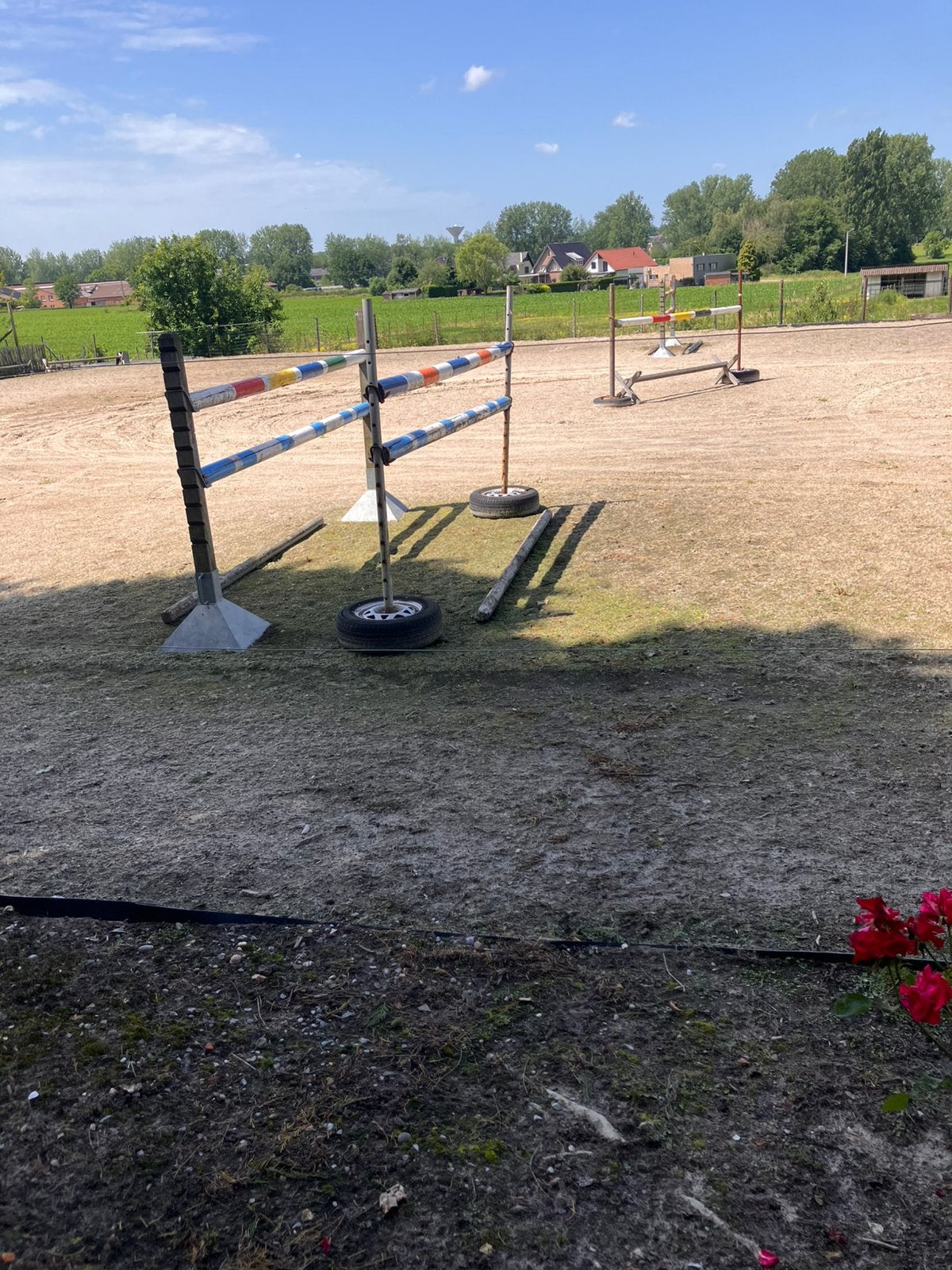 Hindernissen, Dieren en Toebehoren