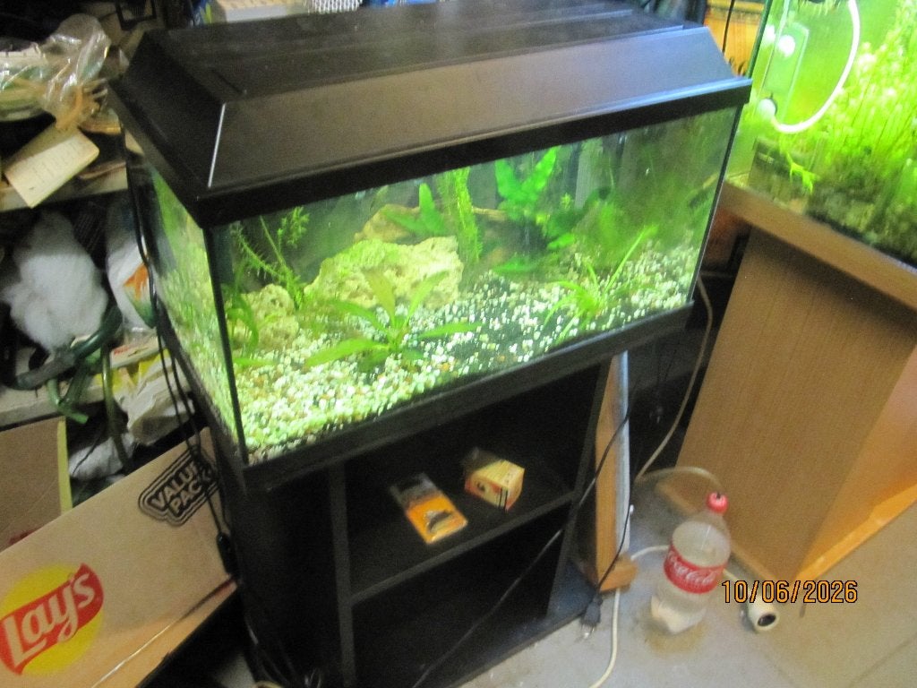 Mooi beplant aquarium starters aquarium, Ophalen, Verwarming, Filter
