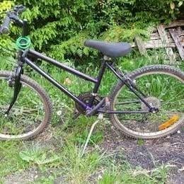 Fiets vrouw, Ophalen, Gebruikt