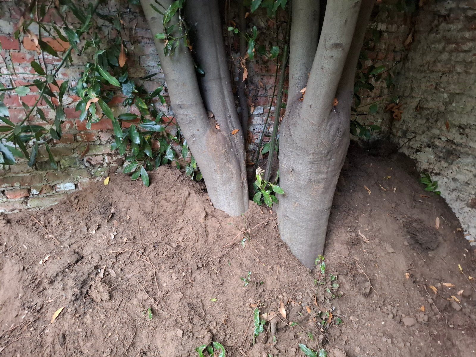 gratis zand, Jardin & Terrasse, Enlèvement