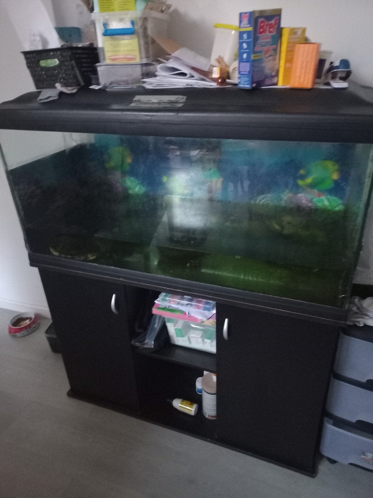Aquarium, Dieren en Toebehoren, Ophalen