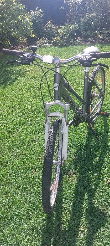 Gigantische fiets, Fietsen en Brommers, Ophalen, Gebruikt, Dames, Giant