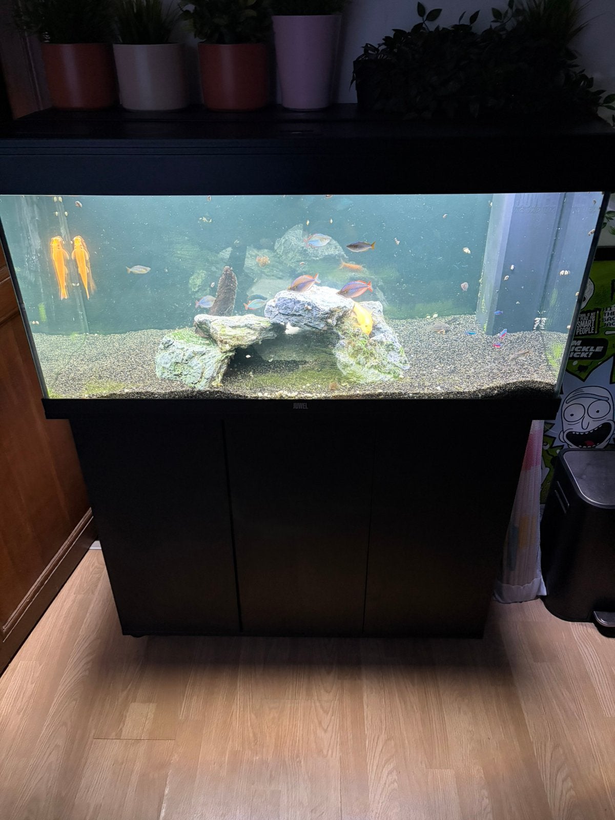 Aquarium, Enlèvement, Comme neuf, Juwel