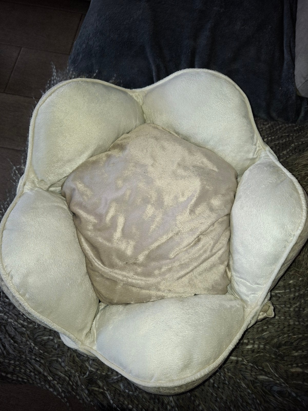 Panier pour chien ou chat, Enlèvement ou Envoi