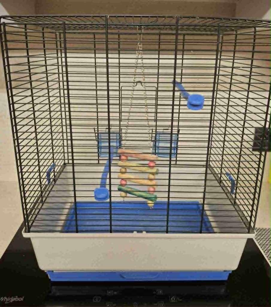 mooie vogelkooi, Enlèvement, Cage à oiseaux