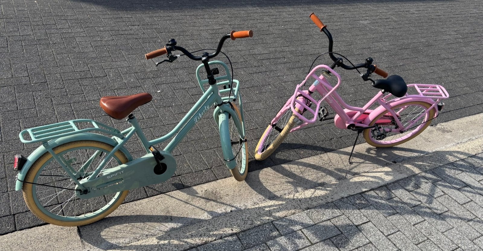 Meisjes fiets 20 inch groen en roze, Ophalen, Gebruikt