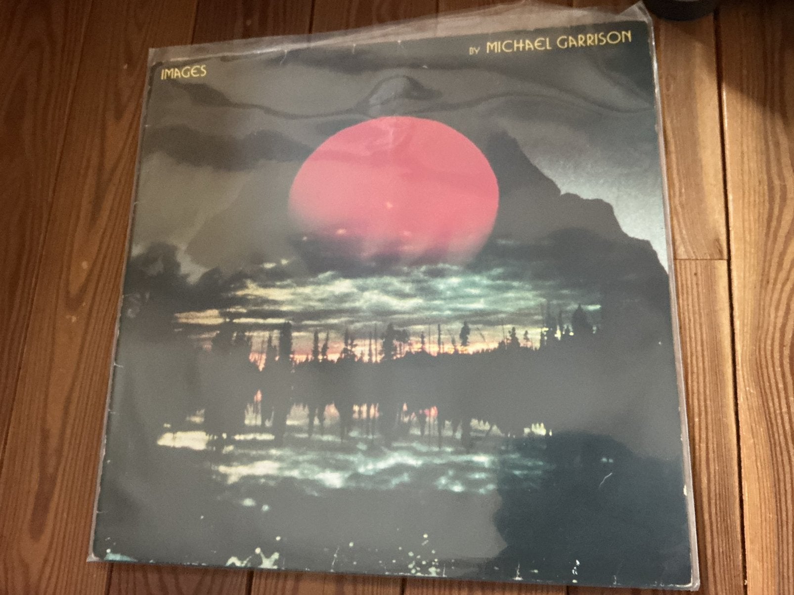 LP Michael Garrison - photos, Enlèvement ou Envoi, Utilisé, LP