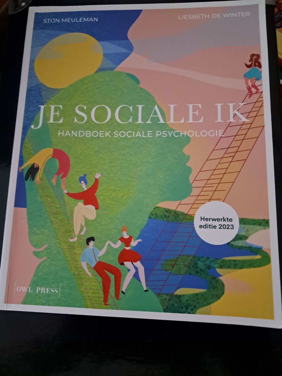 Liesbeth De Winter - Je sociale ik, Boeken, Psychologie, Ophalen of Verzenden, Sociale psychologie, Liesbeth De Winter; Stijn Meuleman