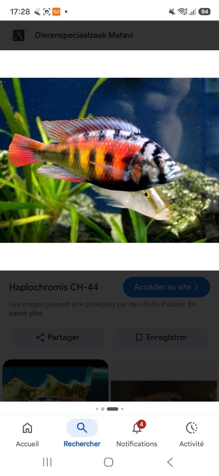 Jeunes ch44 . 4 cm  6.5€ pieces