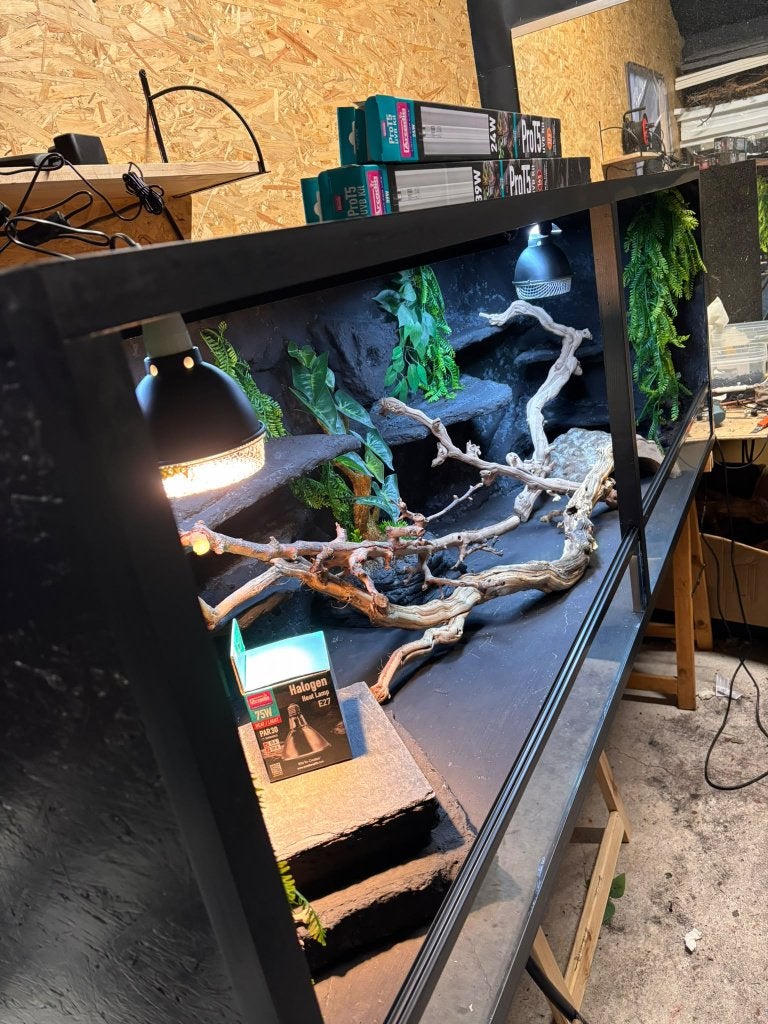 Full Option woestijnterrarium 200 x 70 x 70, Ophalen of Verzenden, Nieuw, Terrarium of Paludarium