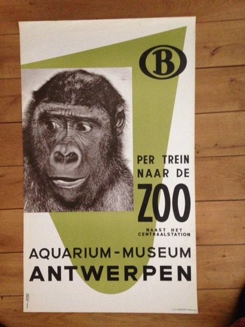 poster zoo, Verzamelen, Posters, Rechthoekig Staand, Deurposter of groter, Ophalen of Verzenden, Zo goed als nieuw