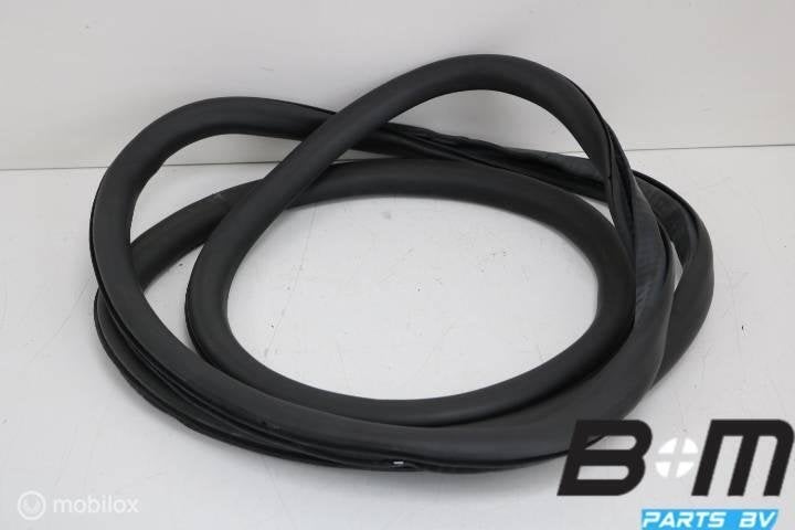 Portierrubber links / rechts voor Audi A4 8E B7 8E0831721B, Utilisé