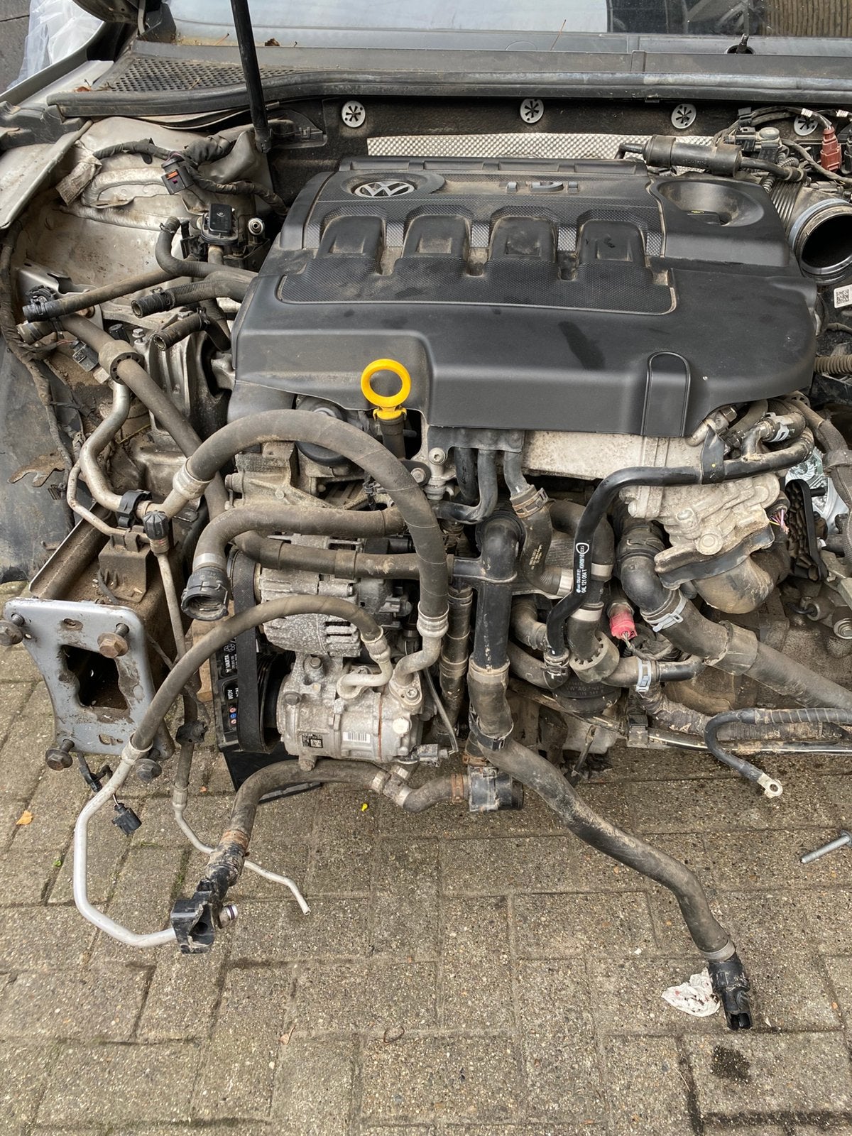 Volkswagen compleet motor 1.6 tdi 88kw, Ophalen, Volkswagen