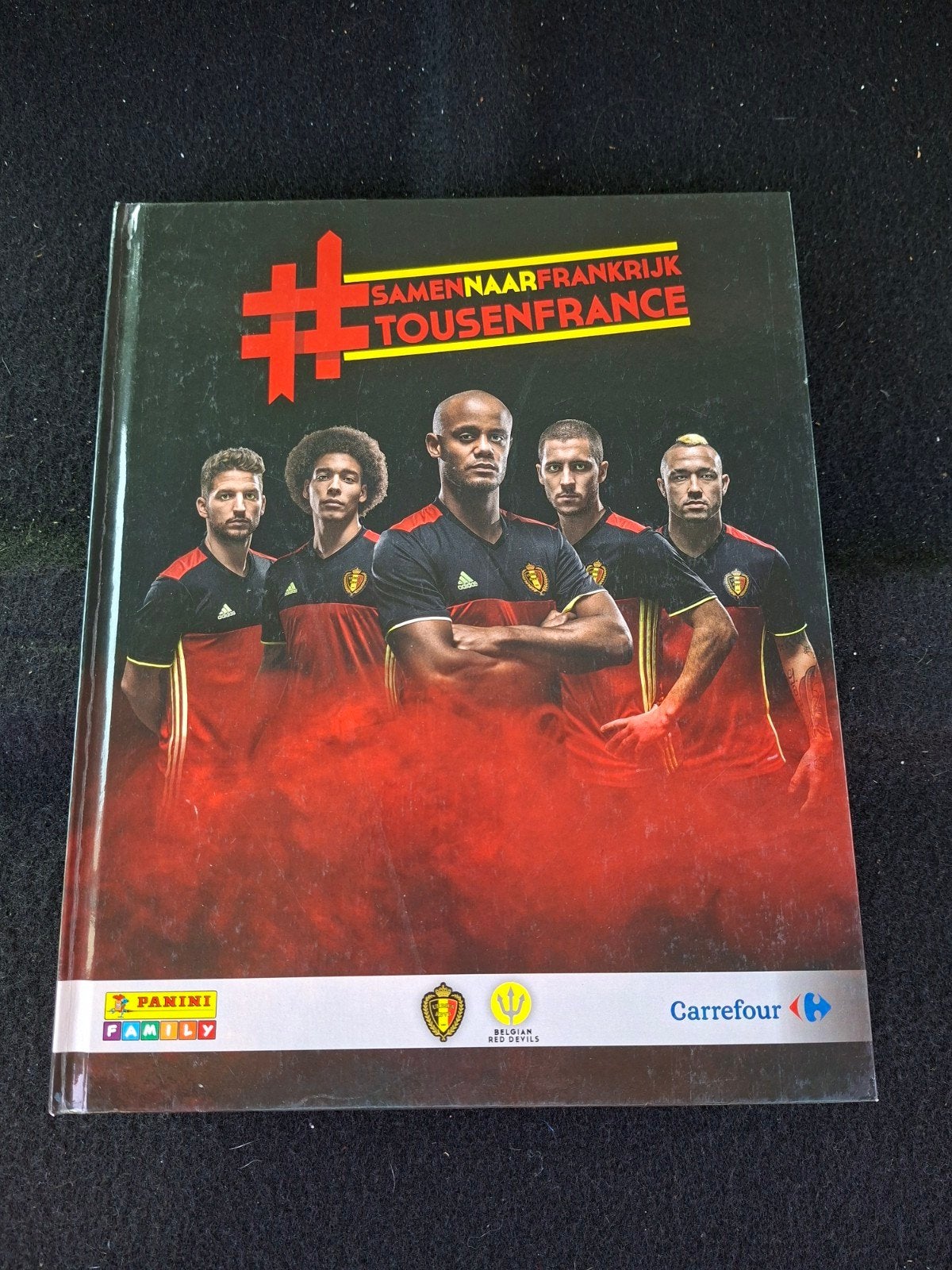 Panini album „Tous en France” van Euro 2016. Nikkel
